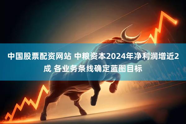 中国股票配资网站 中粮资本2024年净利润增近2成 各业务条线确定蓝图目标