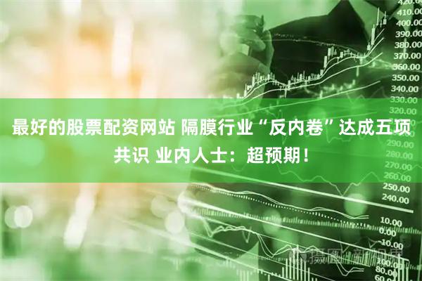 最好的股票配资网站 隔膜行业“反内卷”达成五项共识 业内人士：超预期！